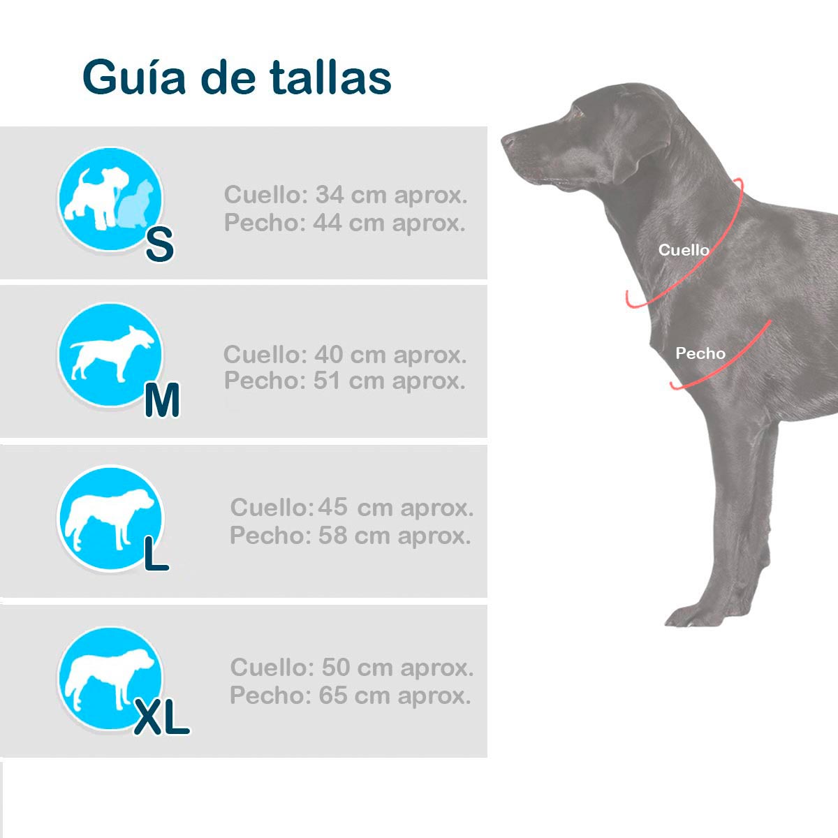 DISFRAZ DE ALICIA EN EL PAÍS DE LAS MARAVILLAS PARA MASCOTAS - ENVÍO GRATIS 🇨🇴