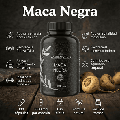 MACA NEGRA GARDEN OF LIFE – VITALIDAD Y RENDIMIENTO – ENVÍO GRATIS 🇨🇴